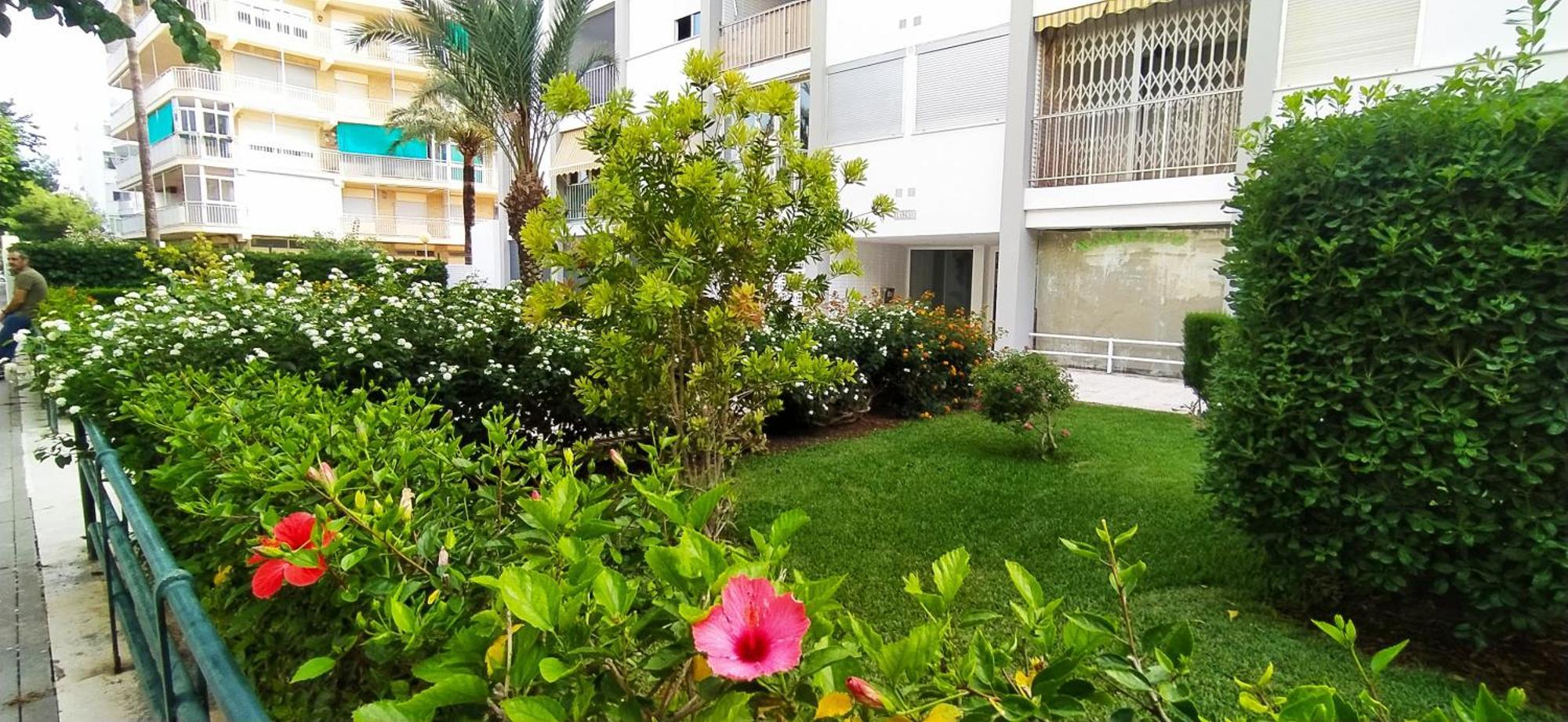 Ola Marina Solo Familias Apartment Playa de Gandia Exterior photo
